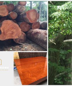 Tủ bếp gỗ xoan đào- Gỗ Xoan Đào Vietkit Home